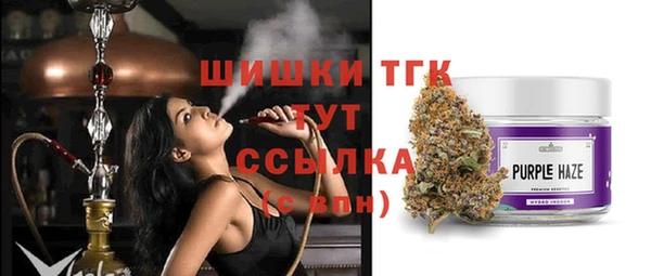 гашик Пестово