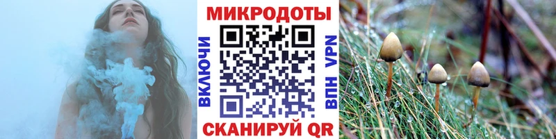 darknet клад  Шарыпово  Псилоцибиновые грибы Psilocybe  мега tor 